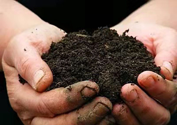 1647566122211426.jpg 600-.jpg