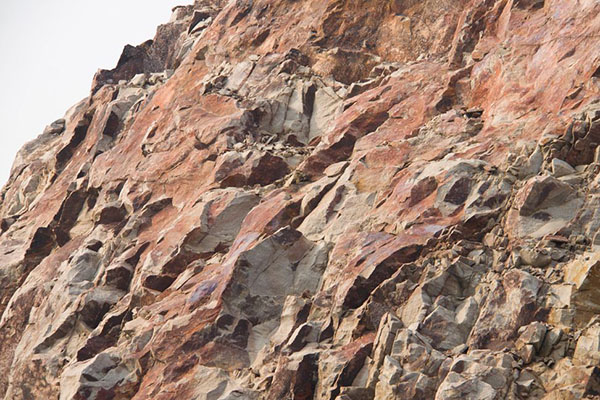 1652837654709403.jpg c52cb829fe0b44308d69ba89001a15f0.jpg